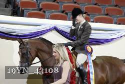 19YN_43108 thumbnail