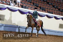19YN_43112 thumbnail