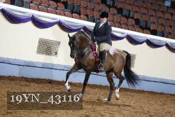 19YN_43116 thumbnail