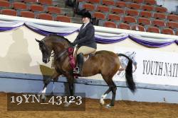 19YN_43123 thumbnail