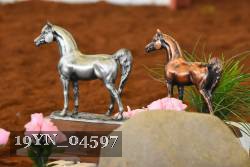 19YN_04597 thumbnail