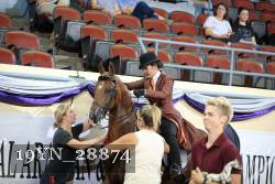 19YN_28874 thumbnail