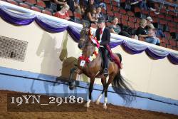 19YN_29180 thumbnail