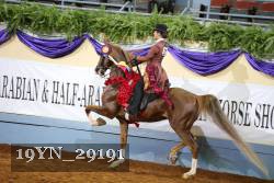 19YN_29191 thumbnail