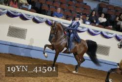19YN_41501 thumbnail