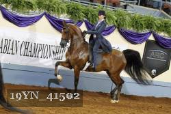 19YN_41502 thumbnail
