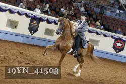 19YN_41503 thumbnail