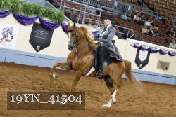 19YN_41504 thumbnail