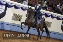 19YN_41505 thumbnail