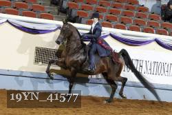 19YN_41577 thumbnail