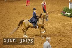 19YN_36175 thumbnail