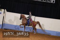 19YN_36835 thumbnail