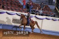 19YN_36838 thumbnail