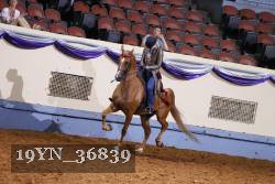 19YN_36839 thumbnail