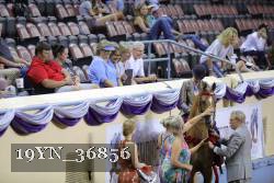 19YN_36856 thumbnail