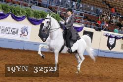 19YN_32521 thumbnail