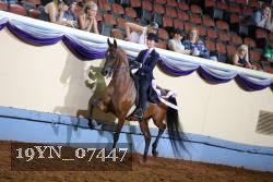 19YN_07447 thumbnail