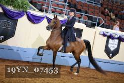 19YN_07453 thumbnail