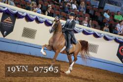 19YN_07505 thumbnail