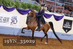 19YN_35029 thumbnail