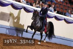 19YN_35145 thumbnail