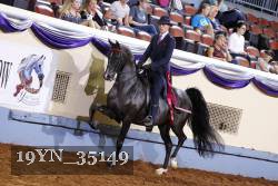 19YN_35149 thumbnail