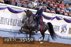 19YN_35150 thumbnail