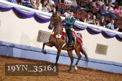 19YN_35164 thumbnail