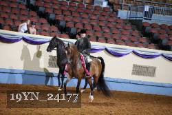 19YN_24177 thumbnail