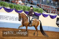 19YN_16996 thumbnail