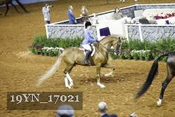 19YN_17021 thumbnail