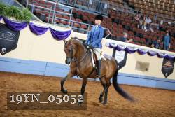 19YN_05052 thumbnail