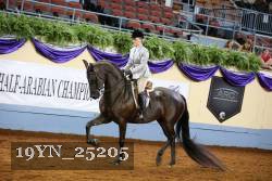 19YN_25205 thumbnail