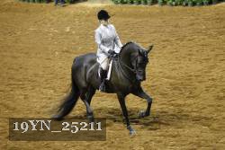 19YN_25211 thumbnail