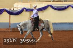 19YN_30569 thumbnail