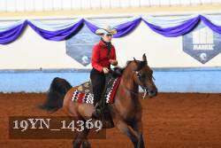 19YN_14369 thumbnail