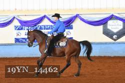 19YN_14462 thumbnail