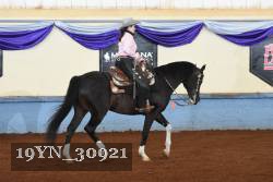 19YN_30921 thumbnail