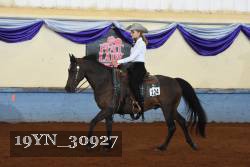 19YN_30927 thumbnail