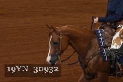 19YN_30932 thumbnail
