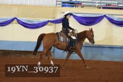 19YN_30937 thumbnail