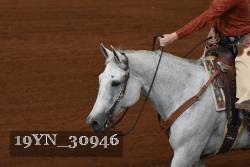 19YN_30946 thumbnail