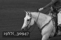 19YN_30947 thumbnail