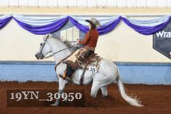 19YN_30950 thumbnail
