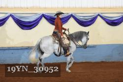 19YN_30952 thumbnail