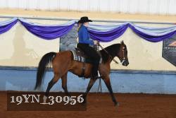 19YN_30956 thumbnail