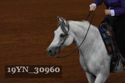 19YN_30960 thumbnail