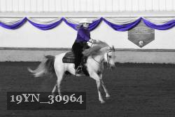 19YN_30964 thumbnail
