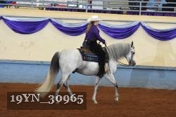 19YN_30965 thumbnail