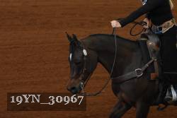 19YN_30967 thumbnail